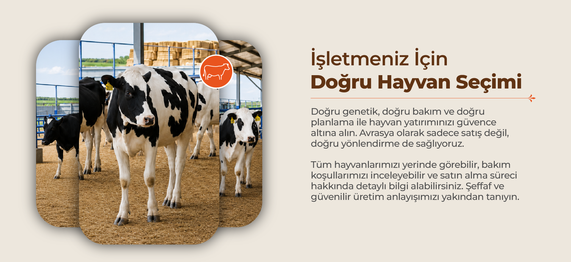 Avrasya Çiftliği Bilgi 2