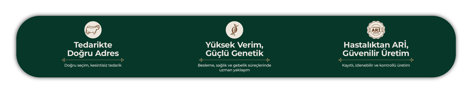 Avrasya Çiftliği Bilgi 3